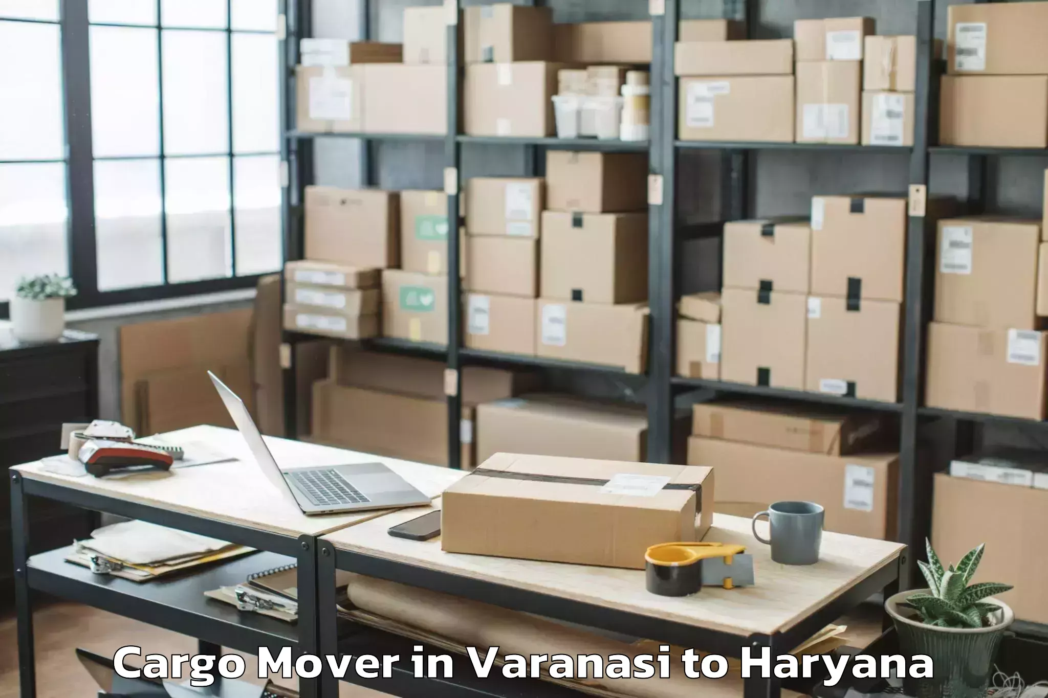 Hassle-Free Varanasi to Manav Rachna International Ins Cargo Mover